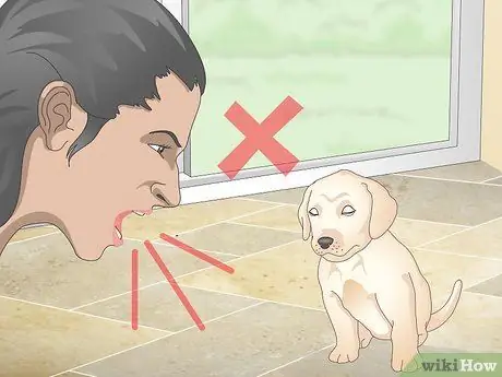 Приучить маленьких собак к горшку Шаг 9