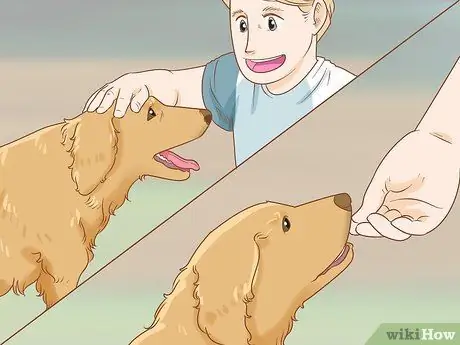 Приучите собаку прятаться Шаг 11