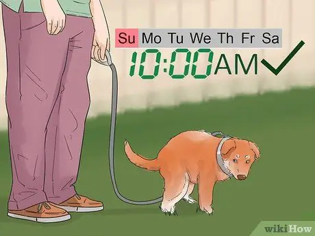 Приучите собаку к дому менее чем за неделю Шаг 1