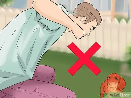 Приучите собаку к дому менее чем за неделю Шаг 12