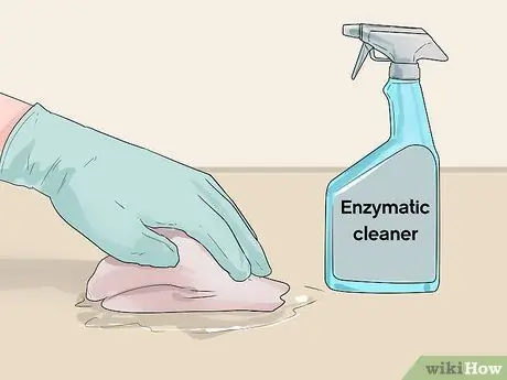 Приучите собаку к дому менее чем за неделю Шаг 13