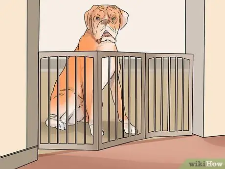 Приучите собаку к дому менее чем за неделю Шаг 3