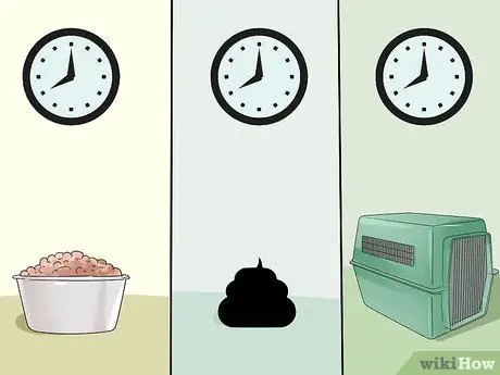 Приучите собаку к дому менее чем за неделю Шаг 7