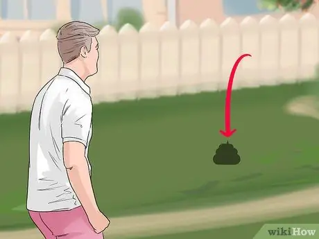 Приучите собаку к дому менее чем за неделю Шаг 8