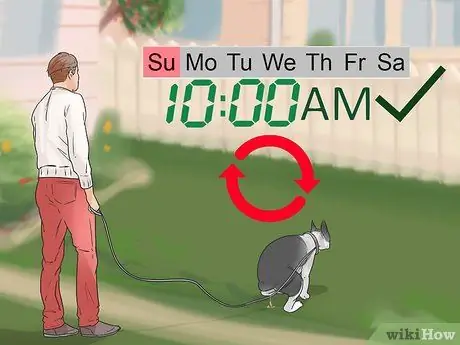 Приучите собаку к дому менее чем за неделю Шаг 9