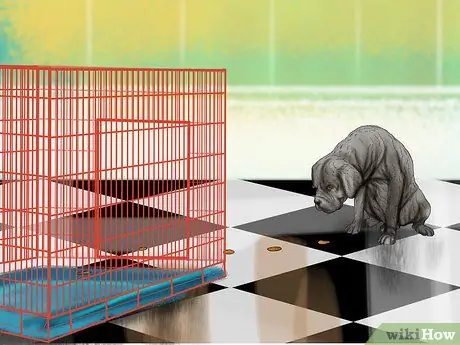 Домашнее животное из ящика Шаг 4