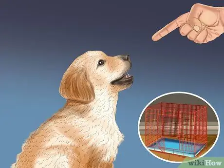 Домашнее животное из ящика Шаг 5