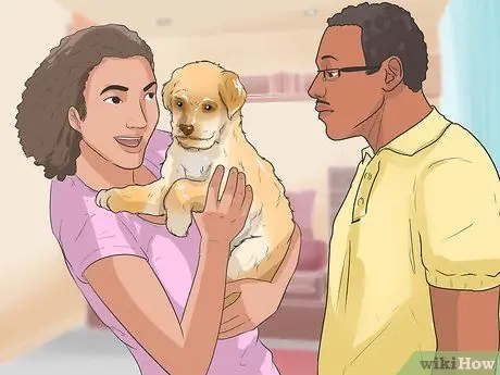 Уход за шихпу Шаг 10