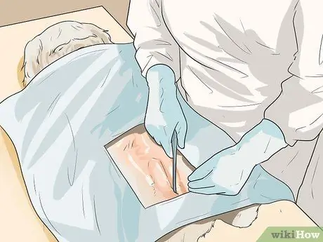 Уход за шихпу Шаг 15