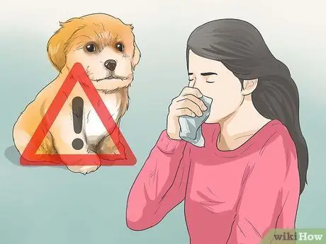 Уход за шихпу Шаг 6