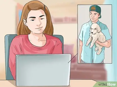 Уход за шихпу Шаг 8