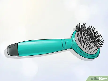 Стрижка большого швейцарского зенненхунда Шаг 4