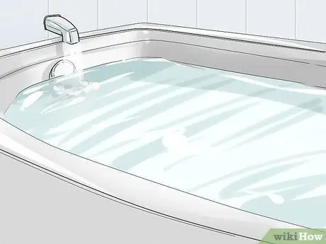 Стрижка большого швейцарского зенненхунда Шаг 8