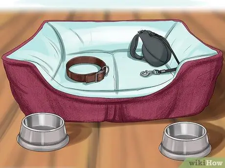 Принять Питбуля Шаг 11