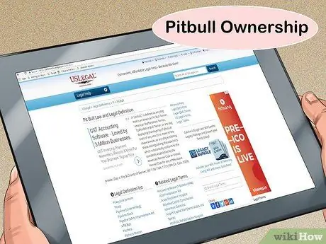 Принять Питбуля Шаг 3