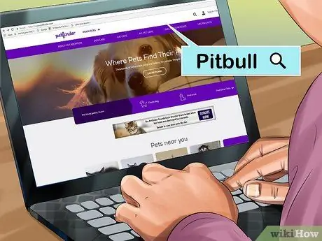 Принять Питбуля Шаг 5