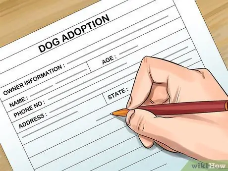 Принять Питбуля Шаг 9