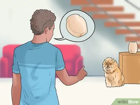 Уход за аффенпинчером Шаг 2