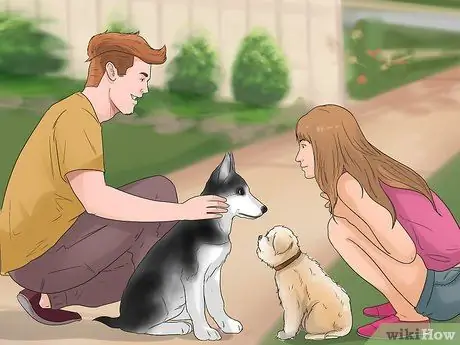 Уход за аффенпинчером Шаг 5