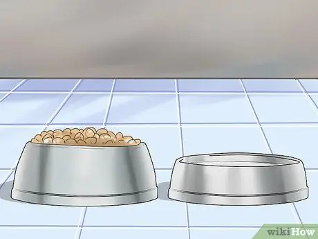 Уход за аффенпинчером Шаг 6