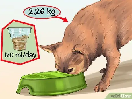 Обеспечьте безопасность игрушечных пород собак рядом с детьми Шаг 10