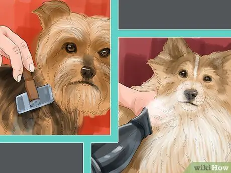 Обеспечьте безопасность игрушечных пород собак для детей Шаг 11