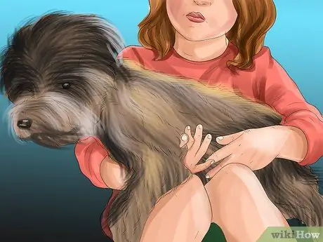 Обеспечение безопасности игрушечных пород собак для детей Шаг 12