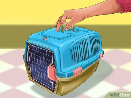 Обеспечение безопасности игрушечных пород собак для детей Шаг 13