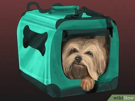 Обеспечьте безопасность игрушечных пород собак для детей Шаг 14