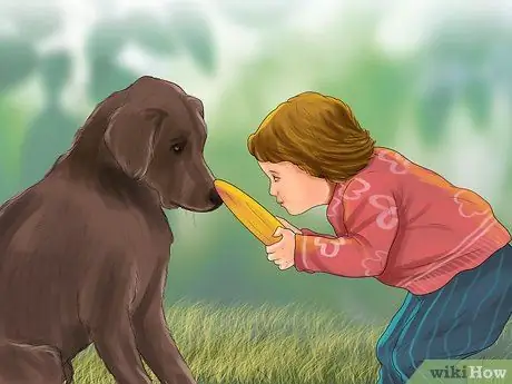 Обеспечьте безопасность игрушечных собак рядом с детьми Шаг 16