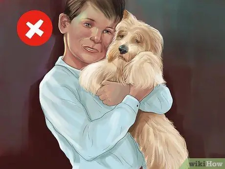 Обеспечьте безопасность игрушечных собак среди детей Шаг 4