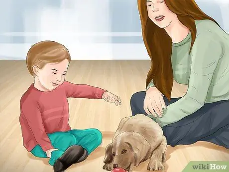 Обеспечьте безопасность игрушечных собак рядом с детьми Шаг 5