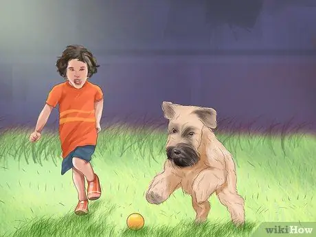 Обеспечение безопасности игрушечных пород собак для детей Шаг 6