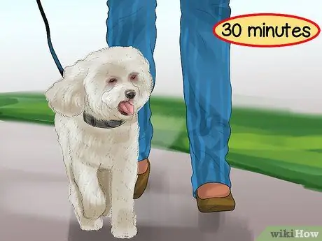 Обеспечьте безопасность игрушечных собак рядом с детьми Шаг 9