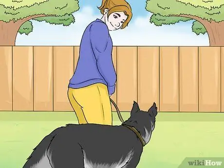 Ухаживаем за тревожной собакой Шаг 1