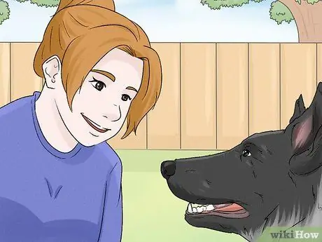 Ухаживаем за тревожной собакой, шаг 2