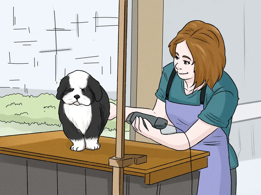 3 простых способа ухаживать за беспокойной собакой