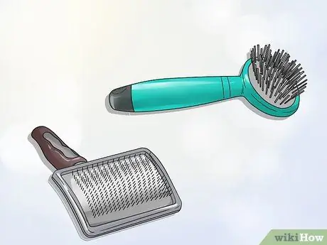 Уход за собакой с тонкой шерстью Шаг 1