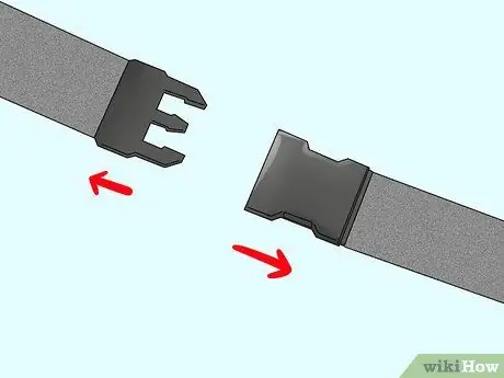 Ухаживайте за тонкошерстной собакой Шаг 4