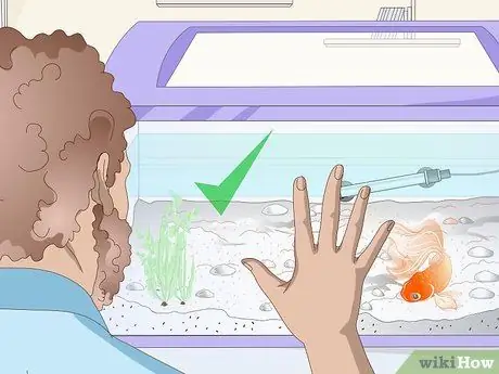 Устранение царапин в аквариуме Шаг 5