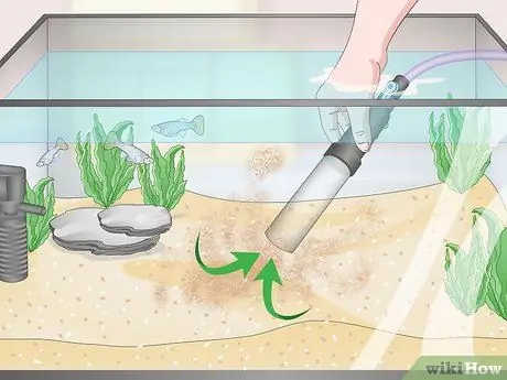 Используйте сменщик воды Aqueon Step 10