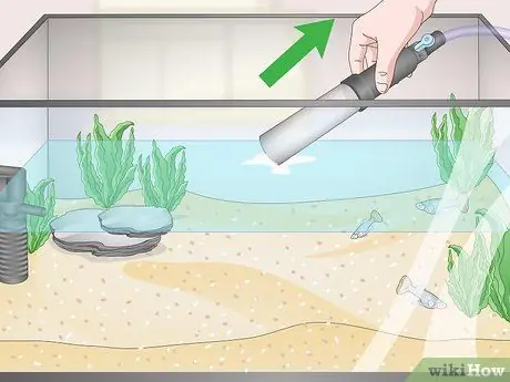 Используйте устройство для смены воды Aqueon Step 11