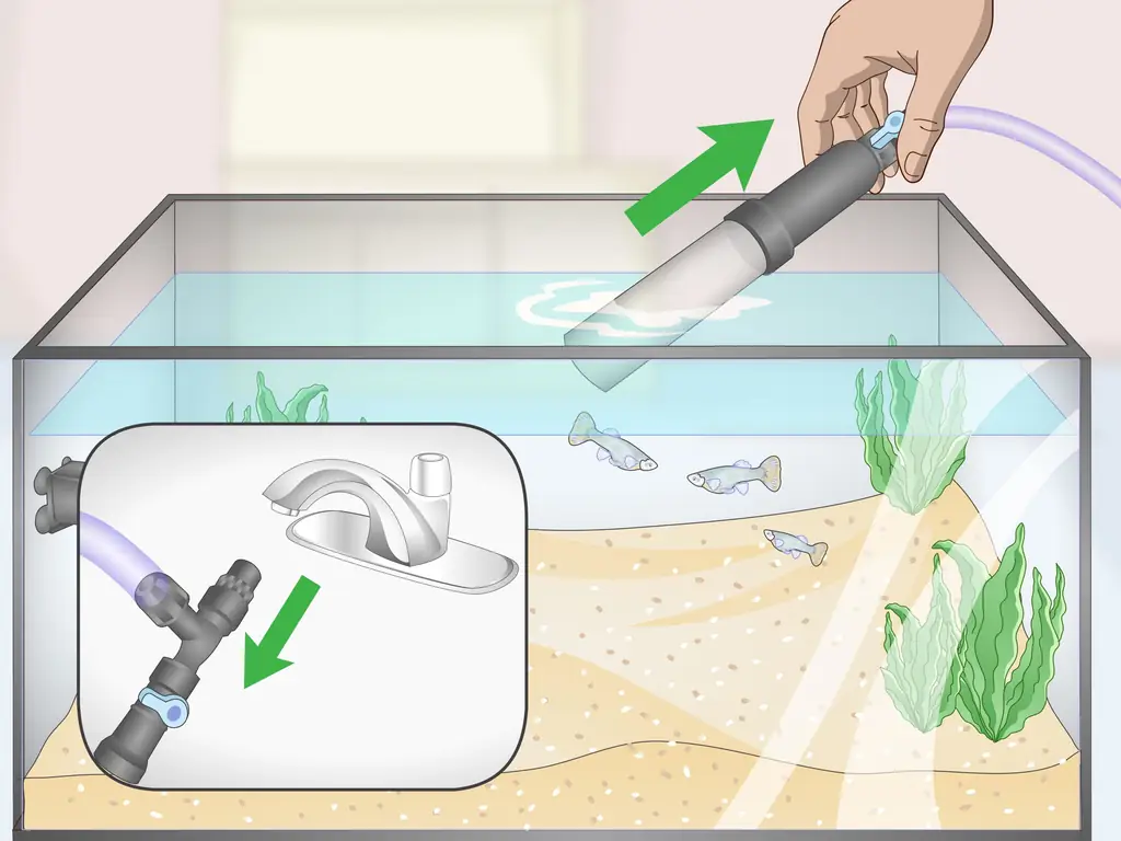 Как пользоваться водяной чейнджером Aqueon (с иллюстрациями)