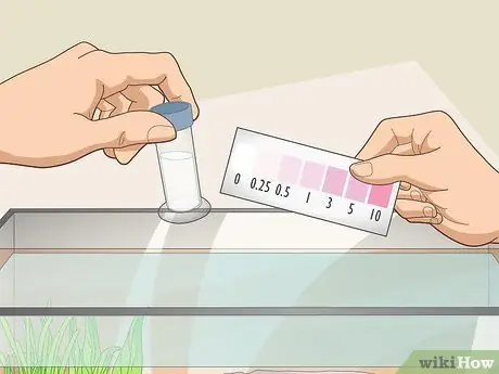 Уменьшите содержание хлора в аквариуме Шаг 4