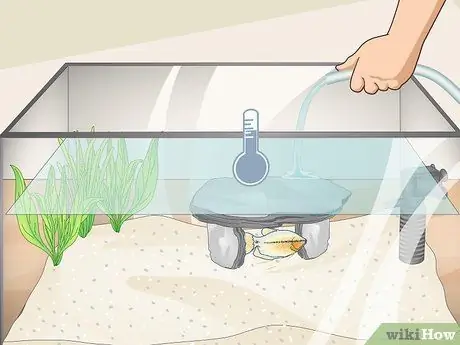 Уменьшите содержание хлора в аквариуме Шаг 6