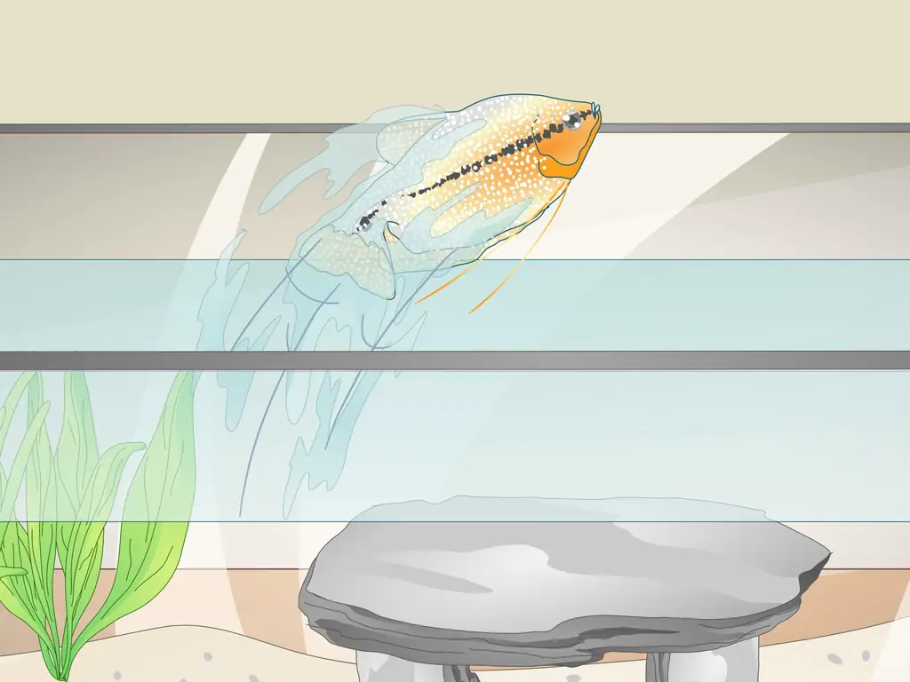 3 простых способа уменьшить содержание хлора в аквариуме