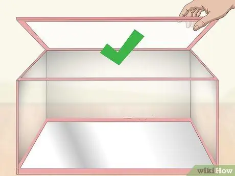 Уход за Crowntail Betta Fish Шаг 2