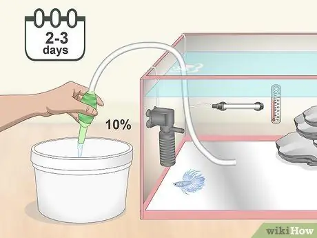 Уход за Crowntail Betta Fish Шаг 8