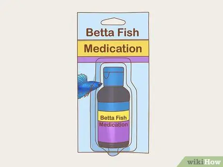 Покормить Betta Fish горохом Шаг 11