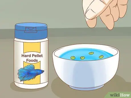Покормить Betta Fish горохом Шаг 12